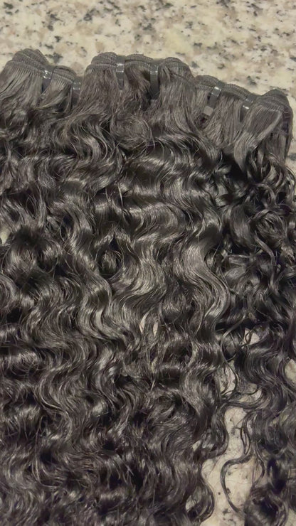 Burmese Bundle Deals